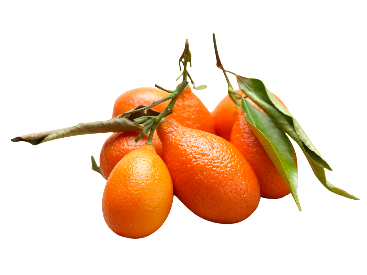 Organic Mandarinquats - 1 LB