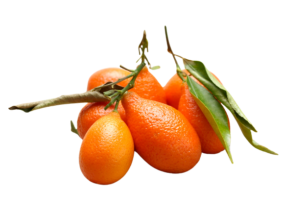 Organic Mandarinquats - 1/2 PINT