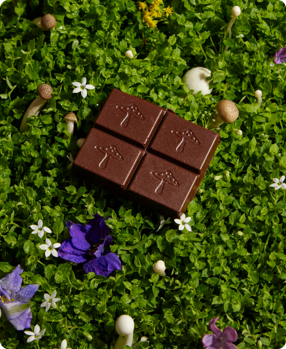 Nightcap — mushroom chocolates for deep sleep