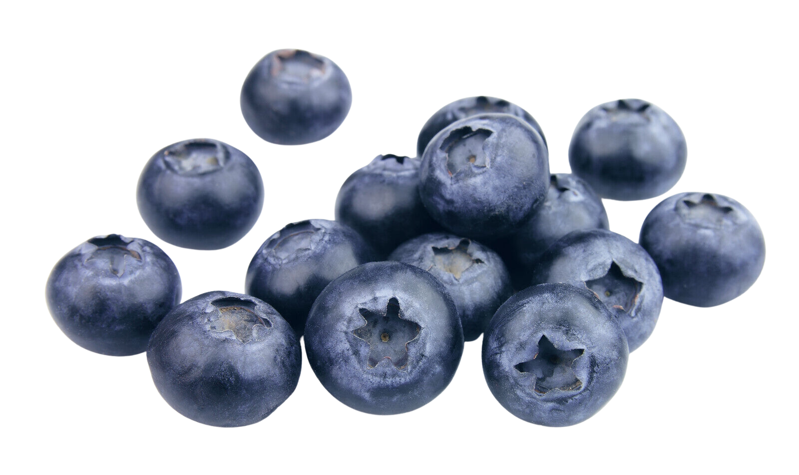 Organic Blueberries - PINT