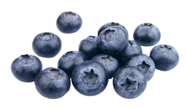 Organic Blueberries - PINT