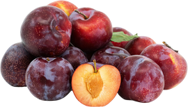 Organic Peacotum - PINT