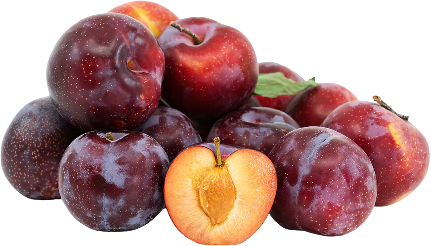 Organic Black Kat Pluot - PER LB