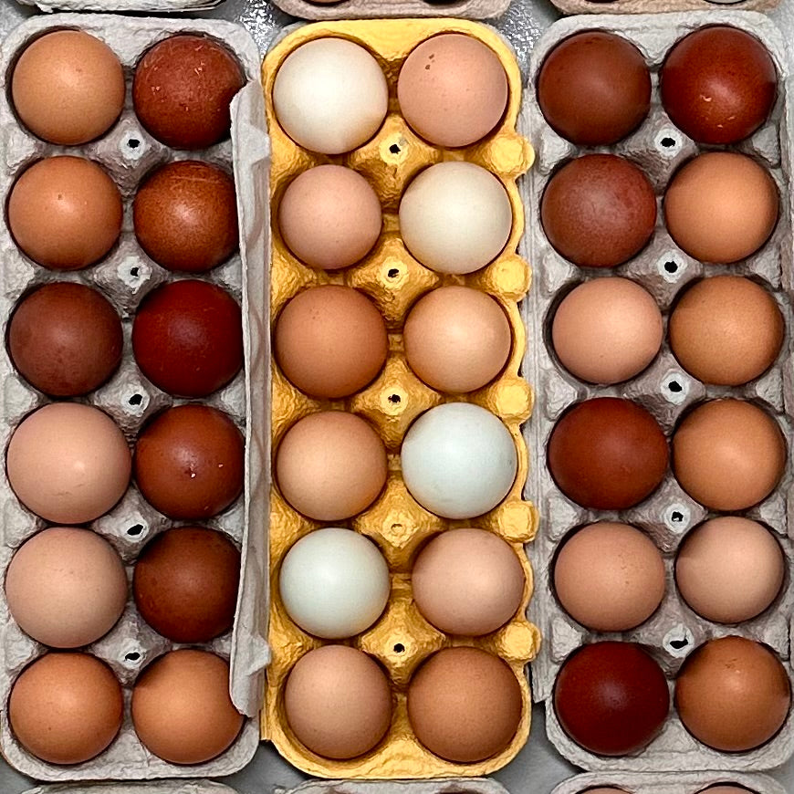 Local Chicken Eggs - 1 Dozen