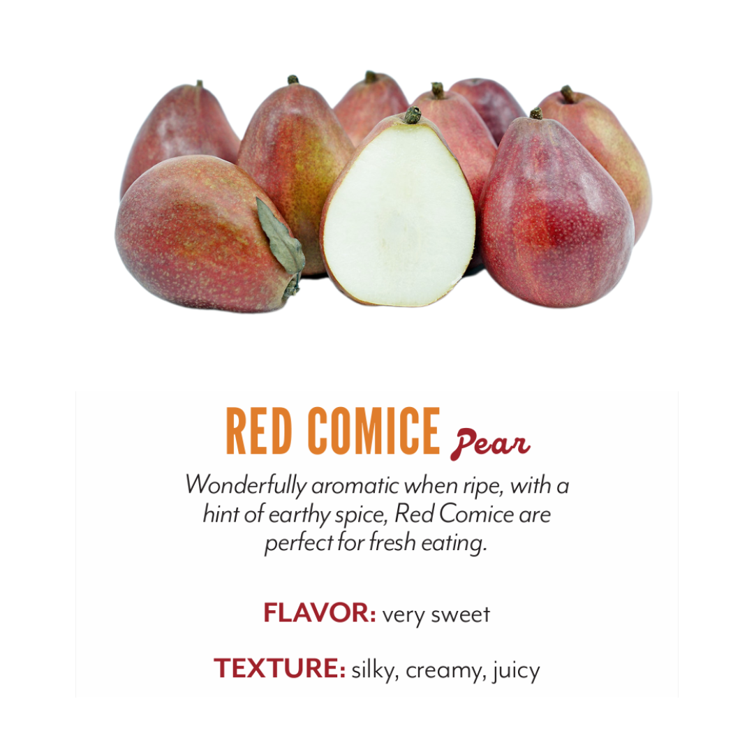 Organic Red Comice Pear - EACH