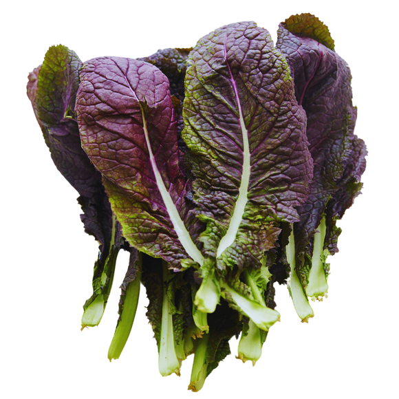 Organic Red Komatsuna Mustard Greens - BUNCH