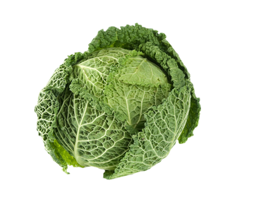 Organic Savoy Cabbage - EACH