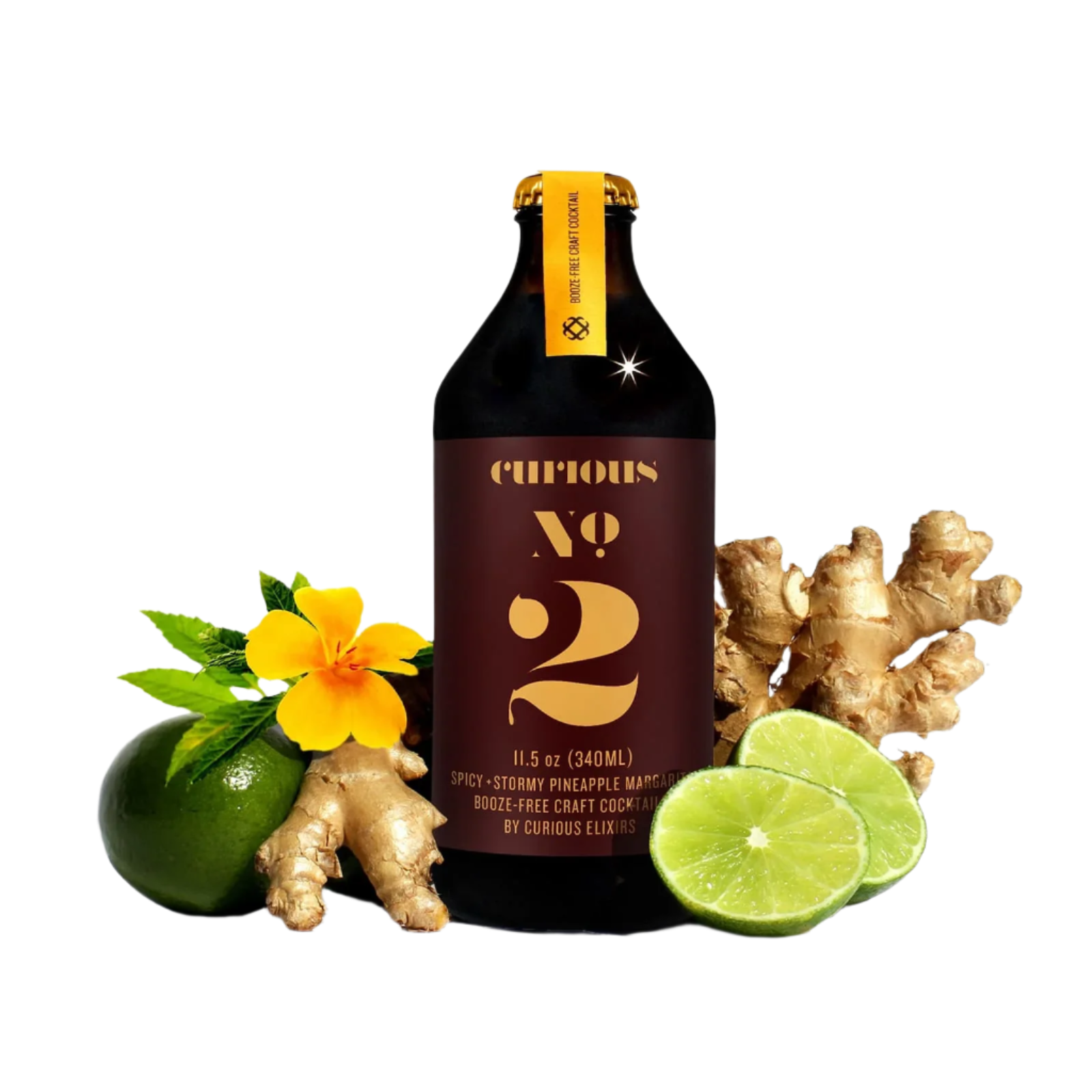 Curious No. 2 NONALCOHOLIC SPICY PINEAPPLE GINGER MARGARITA - 11.5 OZ