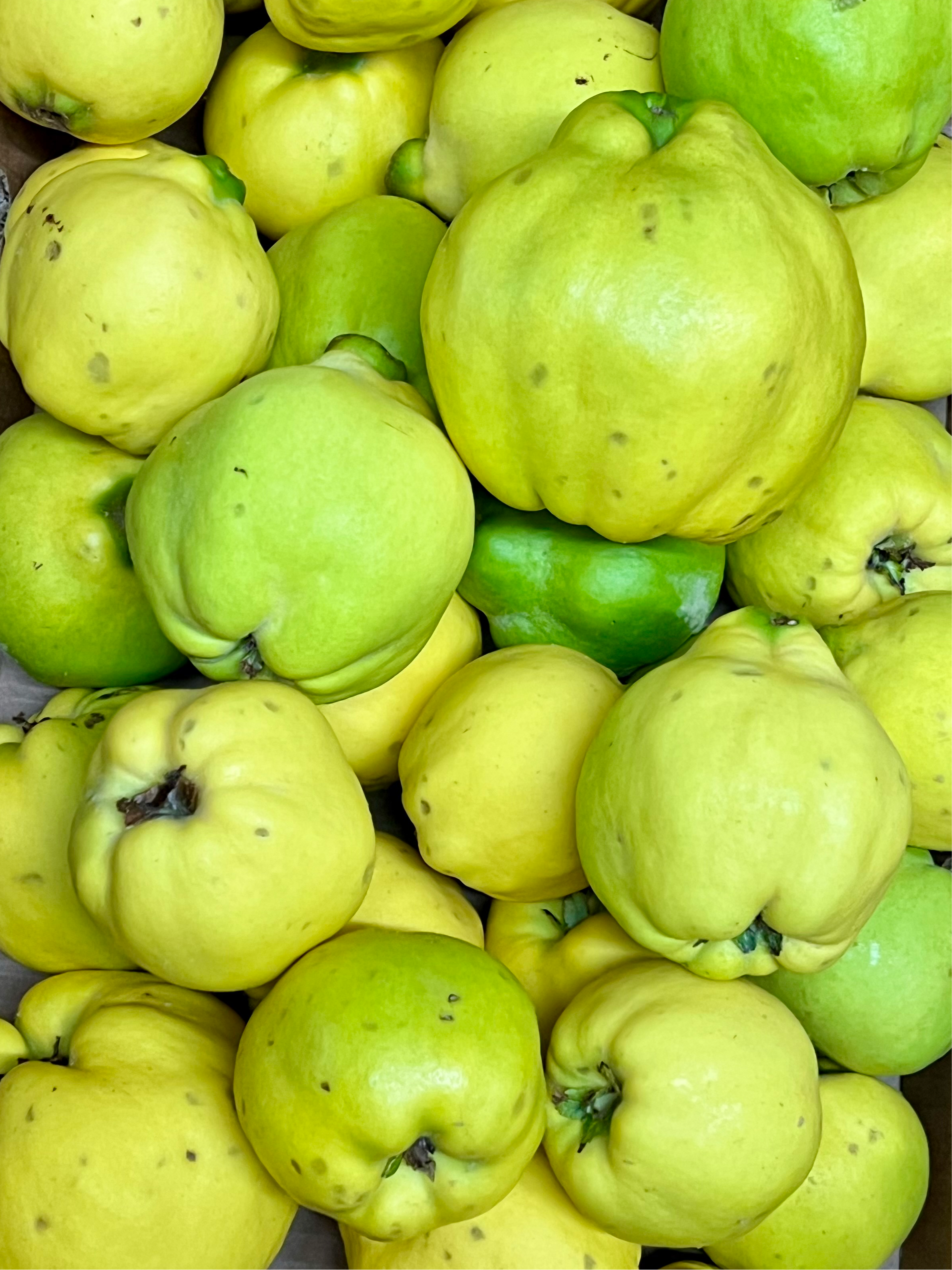 Organic Quince - PER LB