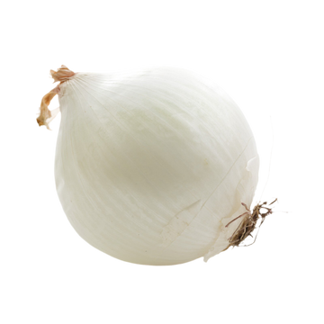 Organic White Onion - EACH