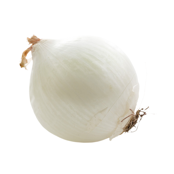 Organic White Onion - EACH