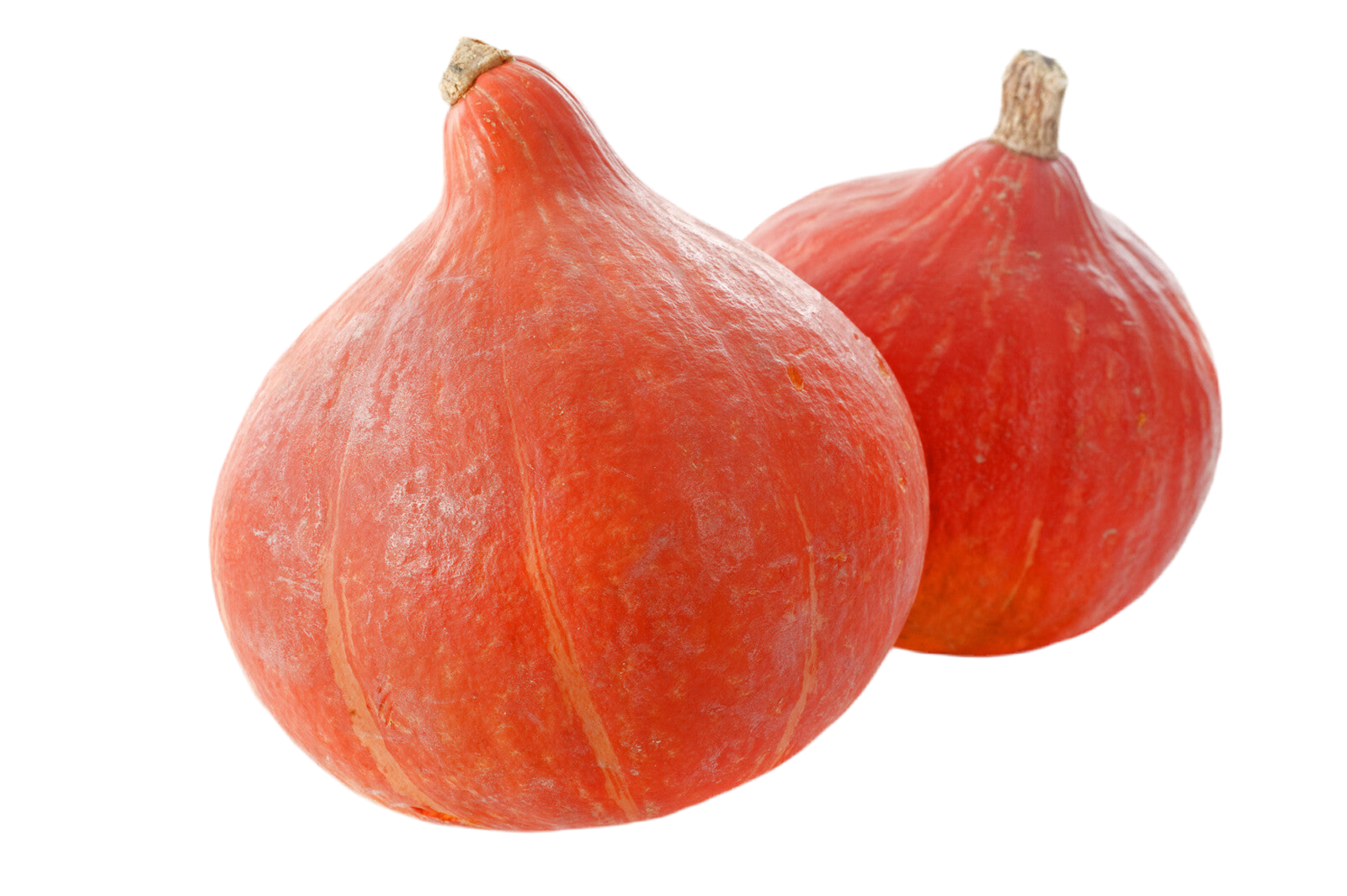 Organic Red Kuri Squash - EACH