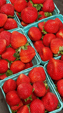 Organic Strawberries - PINT-1