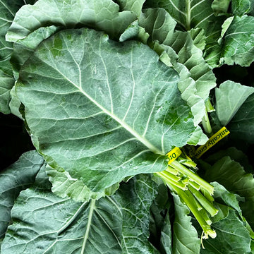 Organic Collard Greens - BUNCH