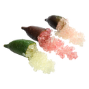Organic Finger Limes - 1/2 PINT-1