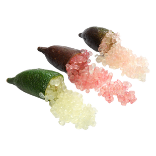 Organic Finger Limes - 1/2 PINT