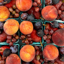 Seasonal Fruit Sampler-2