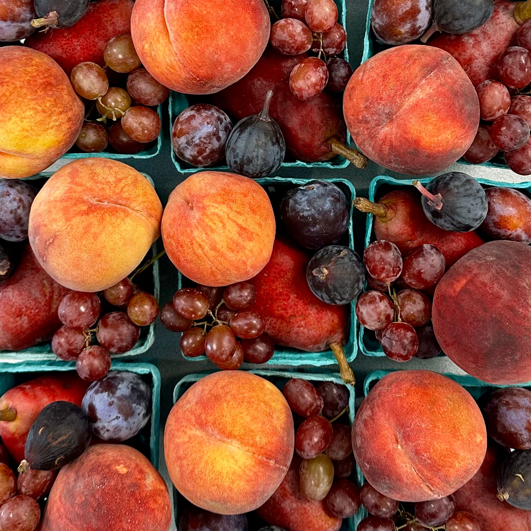 Seasonal Fruit Sampler