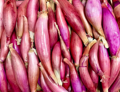Organic Italian Red Torpedo Onions - PER LB