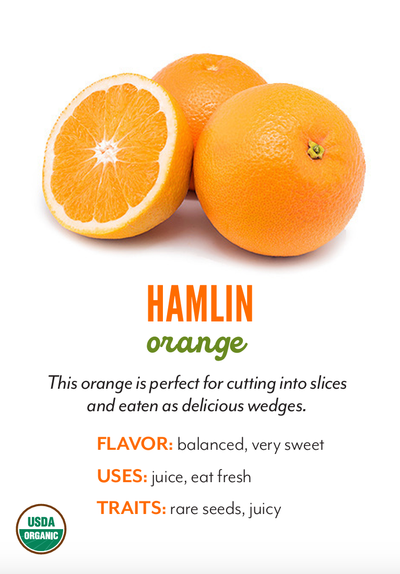 Organic Hamlin Orange - EACH