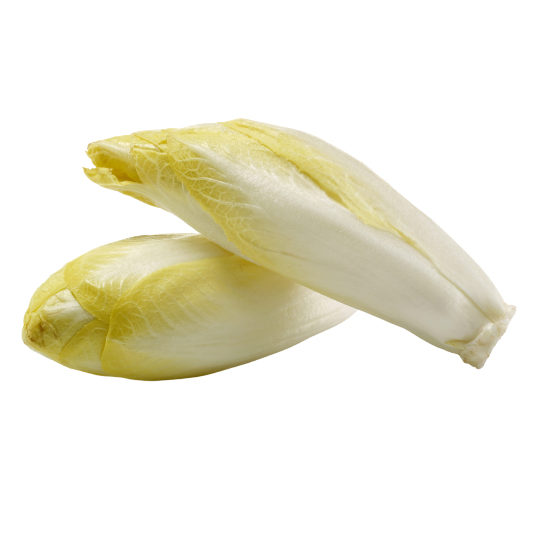 Organic Belgian Endive - PER LB