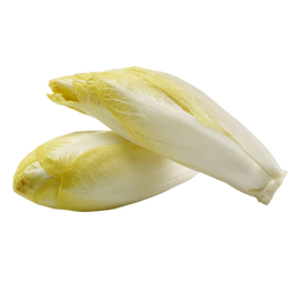 Organic Belgian Endive - PER LB