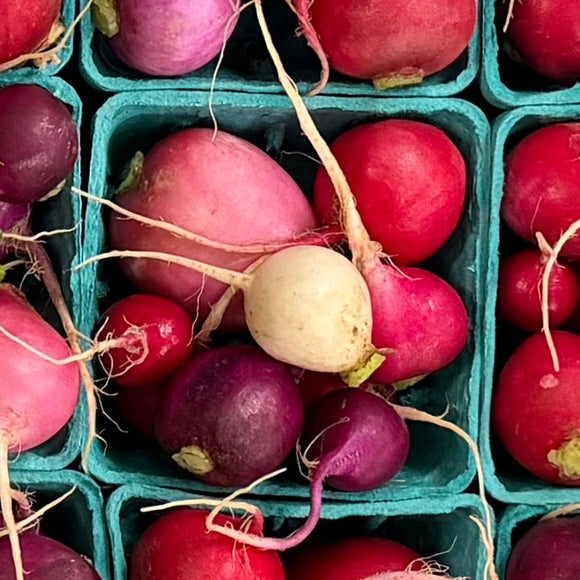 Organic Easter Egg Radishes - 1/2 PINT
