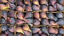 Organic Black Mission Figs - PINT-3