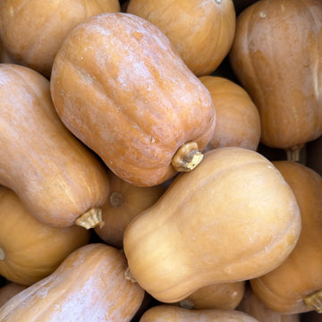 Organic Honeynut Squash - EACH