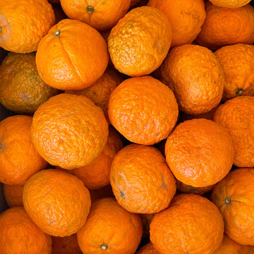 Organic Shiranui Mandarins - EACH