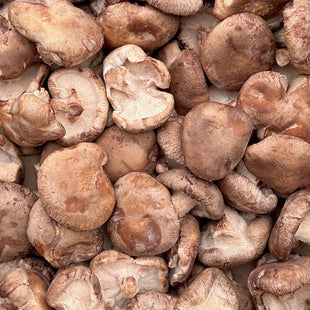 Organic Shiitake Mushrooms - PINT