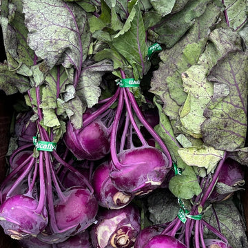 Organic Purple Kohlrabi - EACH