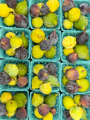 Seasonal Fruit Sampler-1