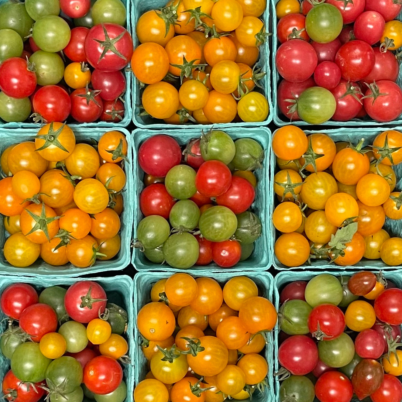 FRESH FROM THE FARM