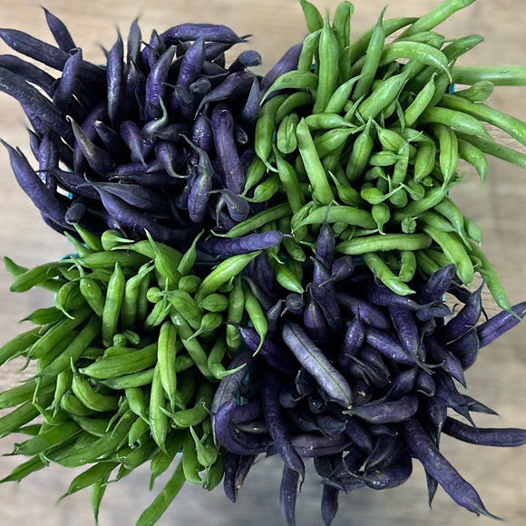 Organic Purple Beans - PINT