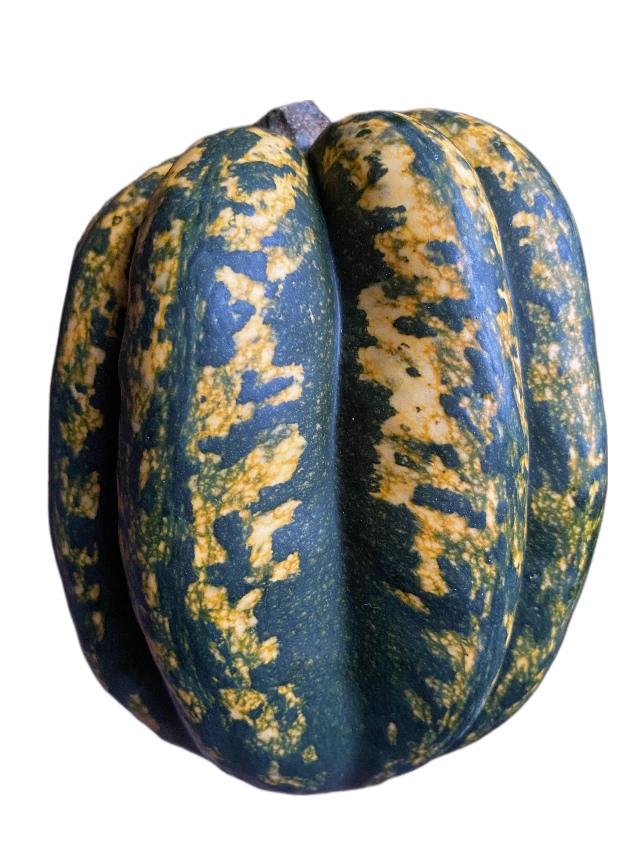 Organic Gold Acorn Squash - EACH