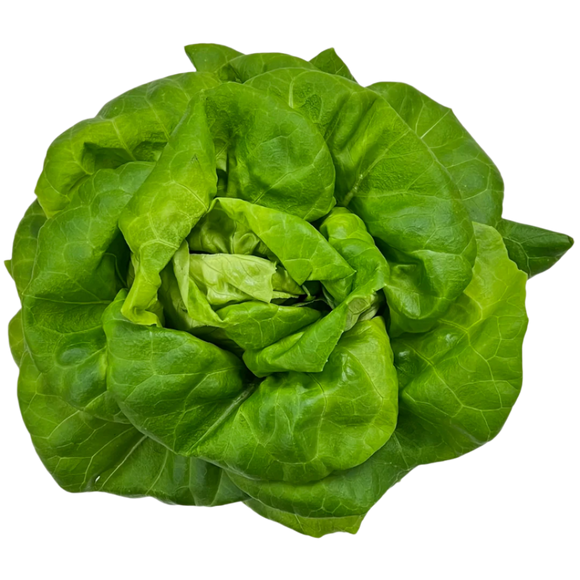 Juneau Greens Lettuce - HEAD