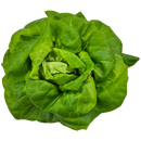Juneau Greens Lettuce - 5 OZ BAG-1