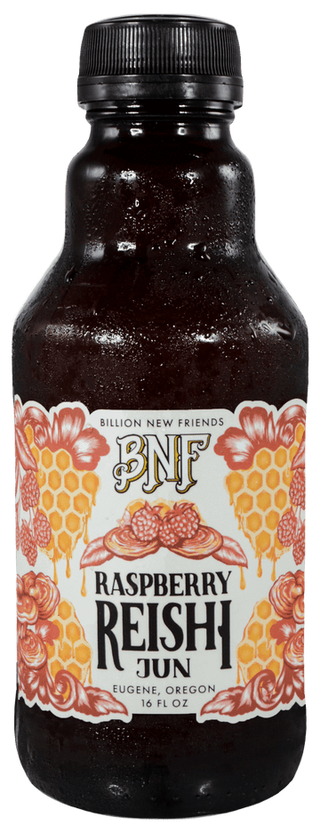 Bnf Raspberry Reishi Kombucha - 16 OZ