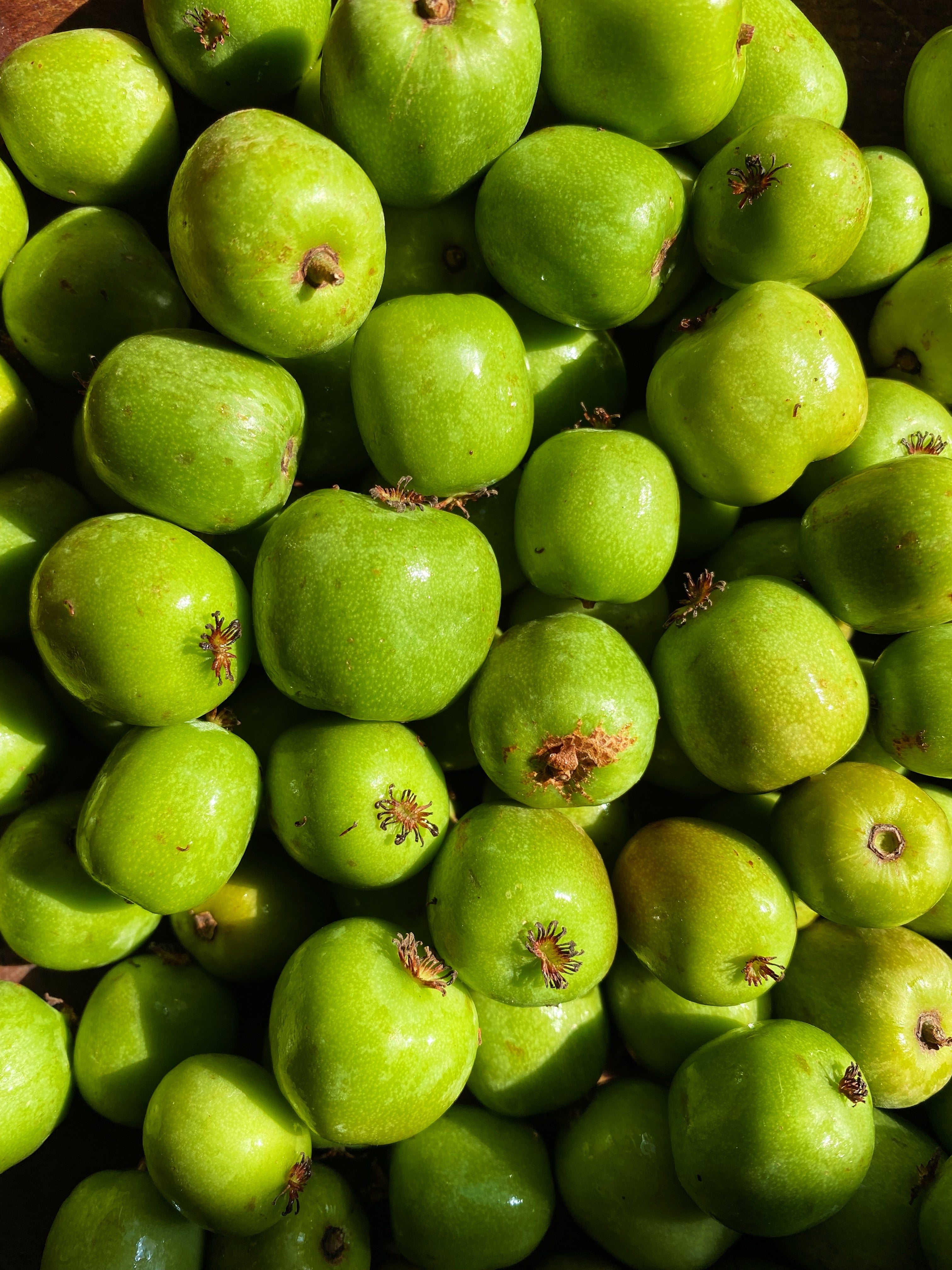 Organic Kiwi Berries - BIN