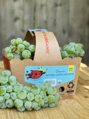Organic Interlaken Grapes - 1.5 LB BIN-2