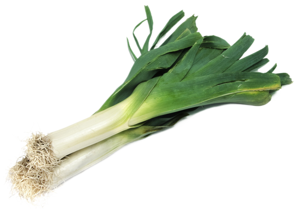 Organic Leeks - PER LB