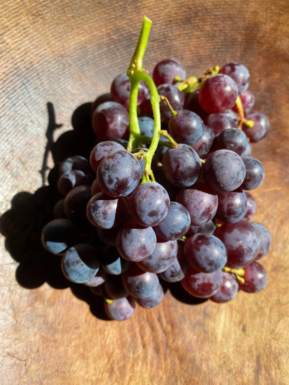 Organic Thomcord Grapes -  1.5 LB TOTE