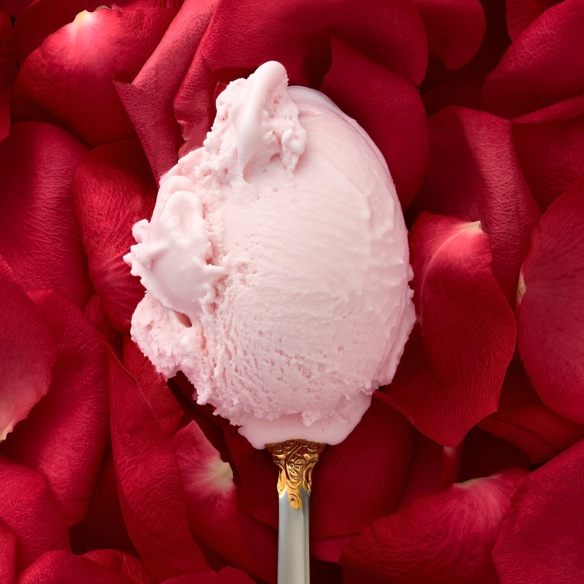 Rosewater Ice Cream - 16 OZ