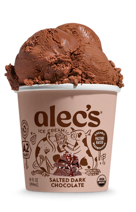 Organic Salted Dark Chocolate Ice Cream - 14 FO