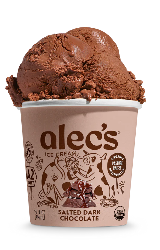 Organic Salted Dark Chocolate Ice Cream - 14 FO