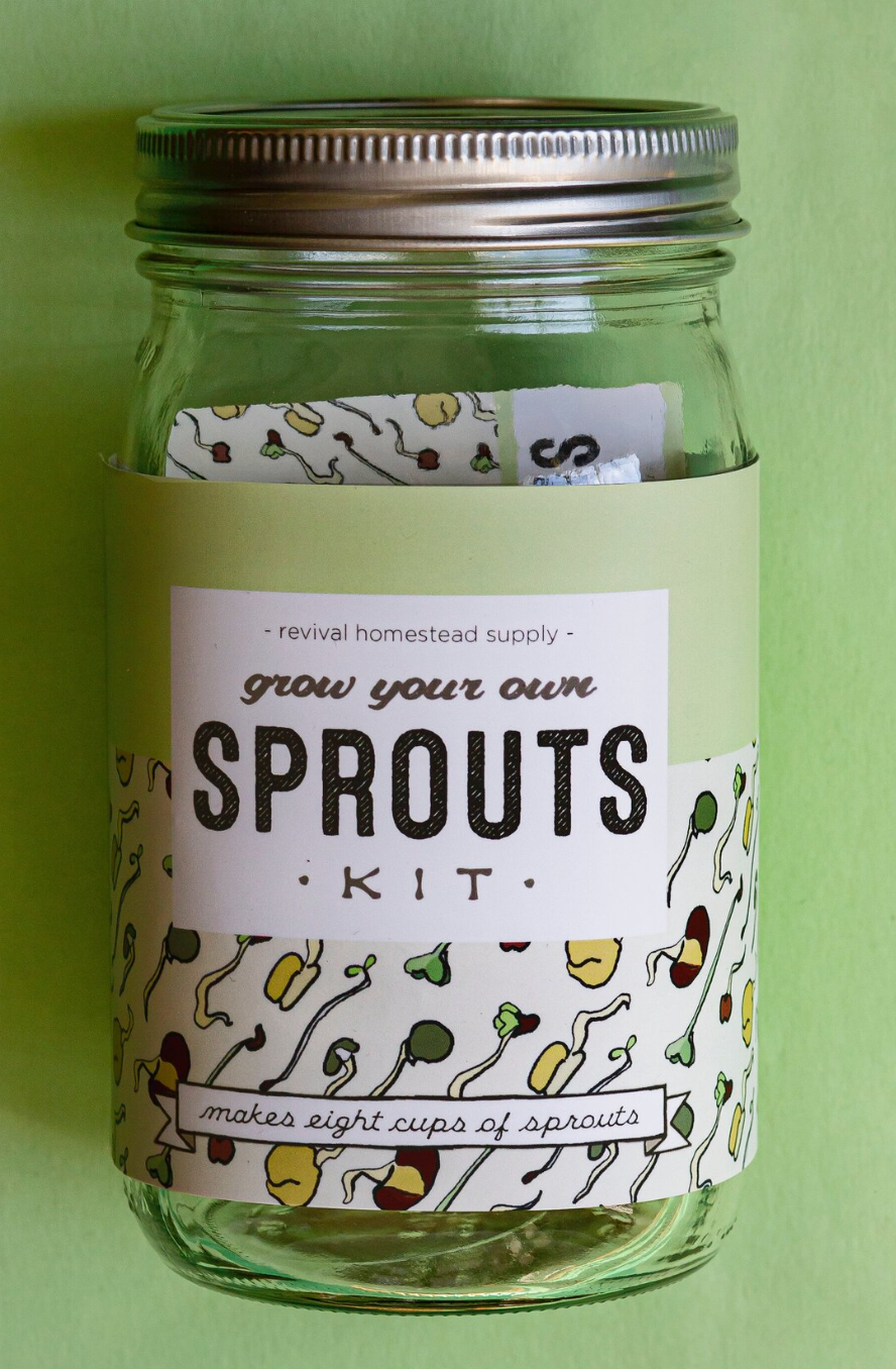 Grow Your Own Sprouts Kit