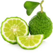 Bergamot Essential Oil 15mL