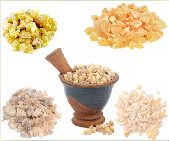 Frankincense Fours Organic Essential Oil 15mL