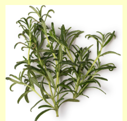 Rosemary Organic Essential Oil 15mL